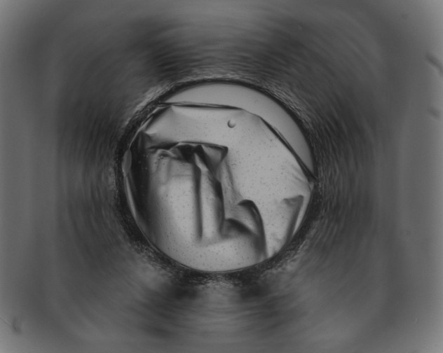 X0000091210256200709061445