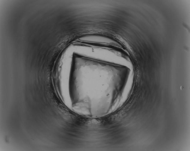 X0000091210257200709061445