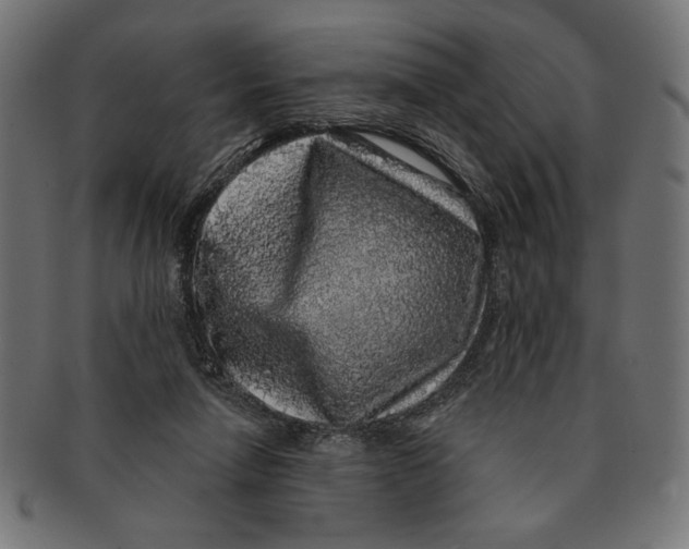 X0000091210258200709061445