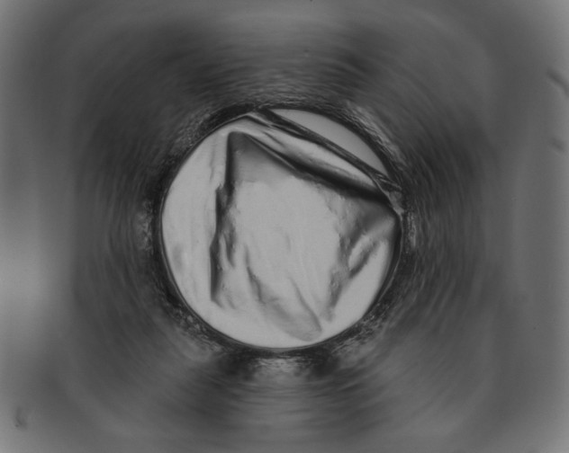 X0000091210259200709061445