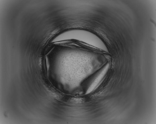 X0000091210260200709061445