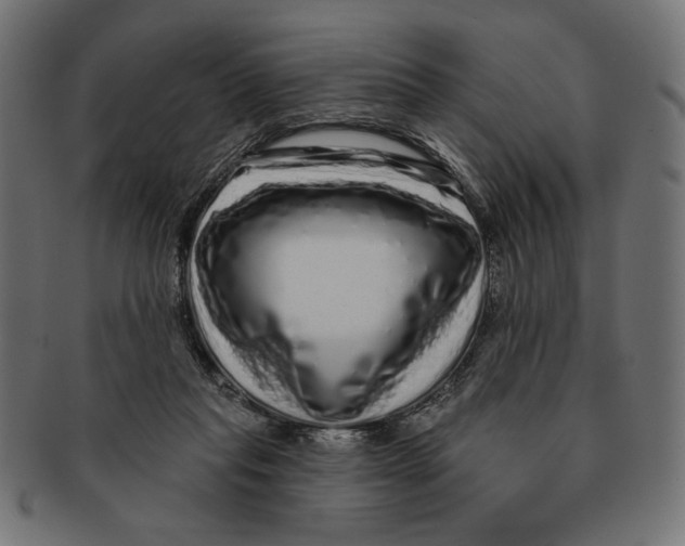 X0000091210261200709061445