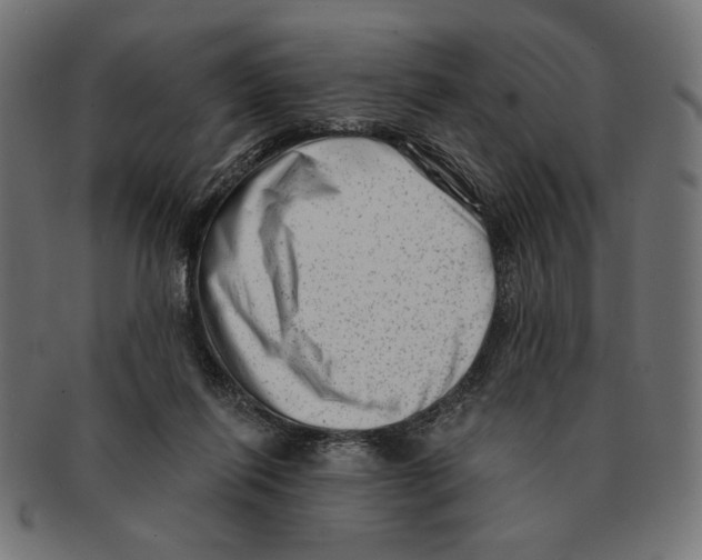 X0000091210262200709061445