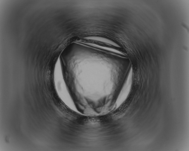 X0000091210263200709061445