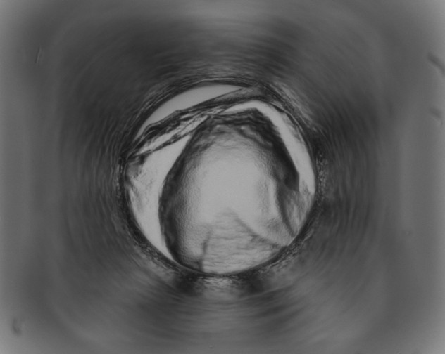 X0000091210265200709061445