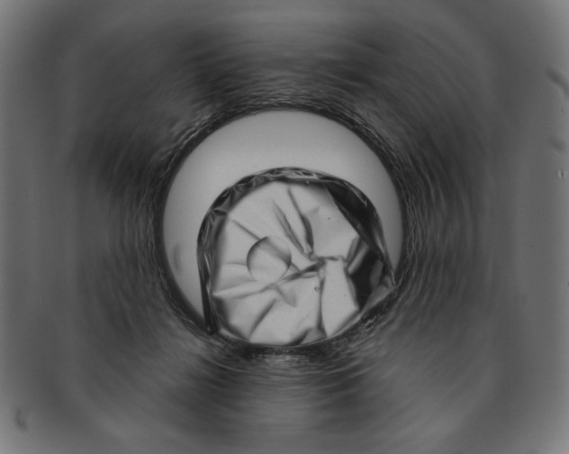 X0000091210268200709061445