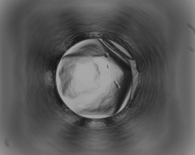 X0000091210270200709061445