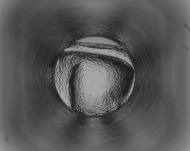 X0000091210273200709061445