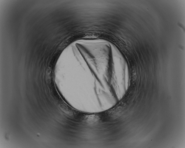 X0000091210275200709061445