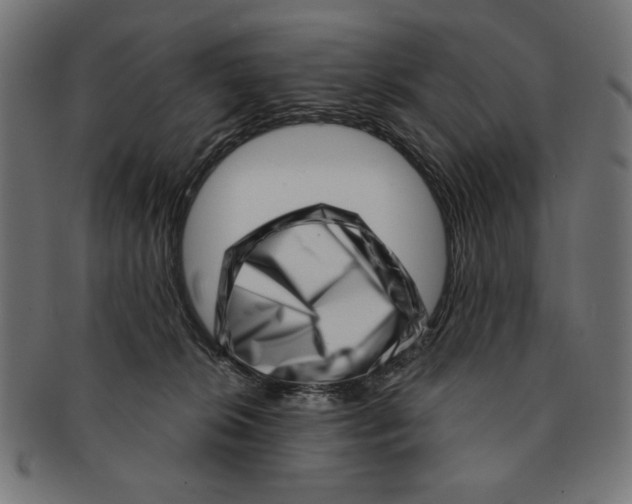 X0000091210276200709061445