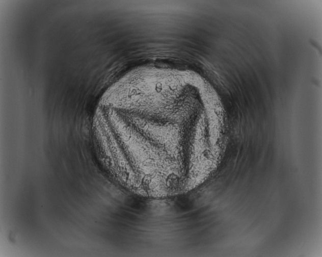 X0000091210277200709061445