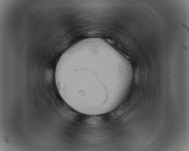 X0000091210278200709061445