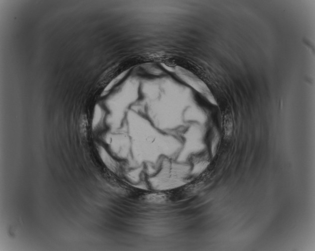 X0000091210279200709061445