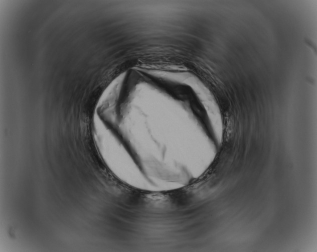 X0000091210283200709061445