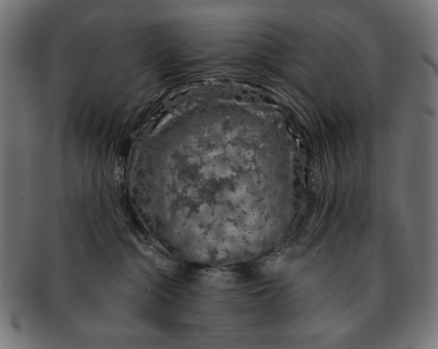 X0000091210284200709061445