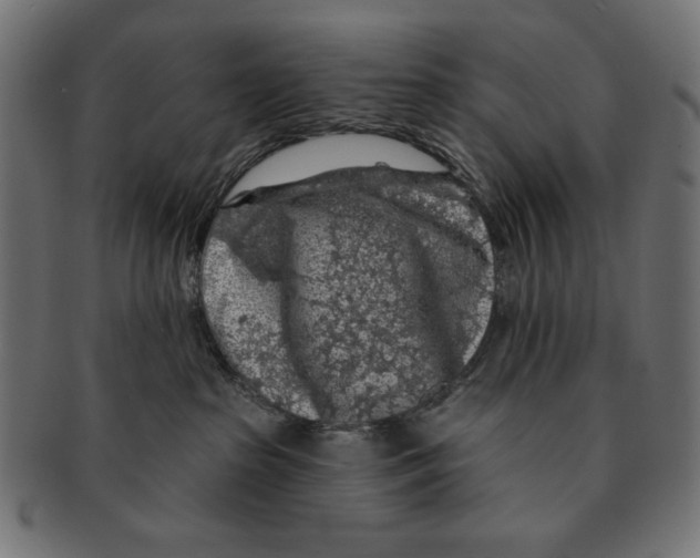 X0000091210285200709061445