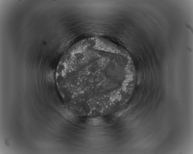 X0000091210286200709061445