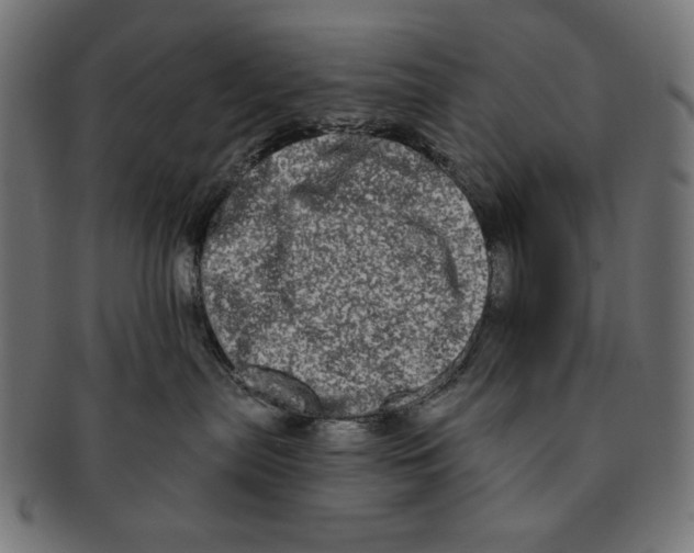 X0000091210287200709061445