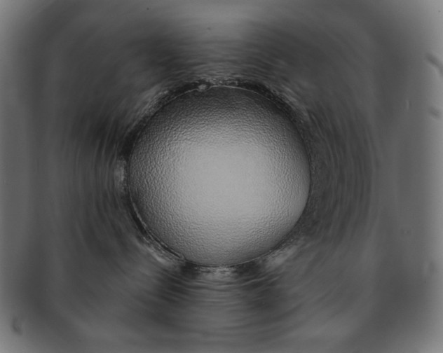 X0000091210288200709061445