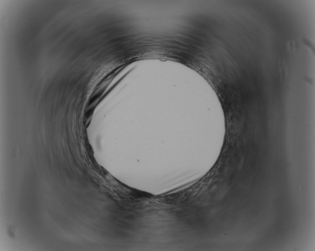 X0000091210289200709061445