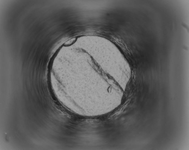 X0000091210292200709061445