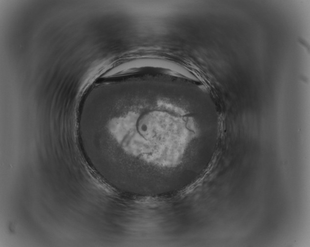 X0000091210293200709061445