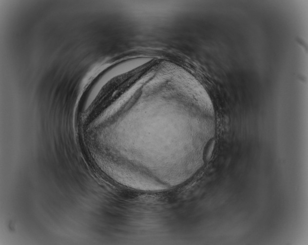 X0000091210294200709061445