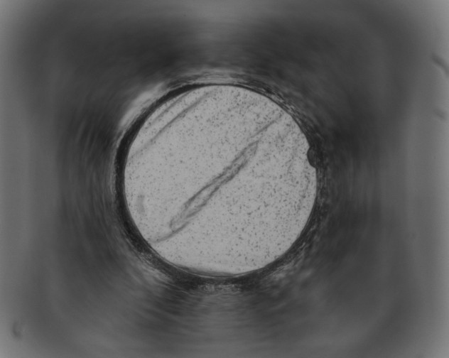 X0000091210296200709061445