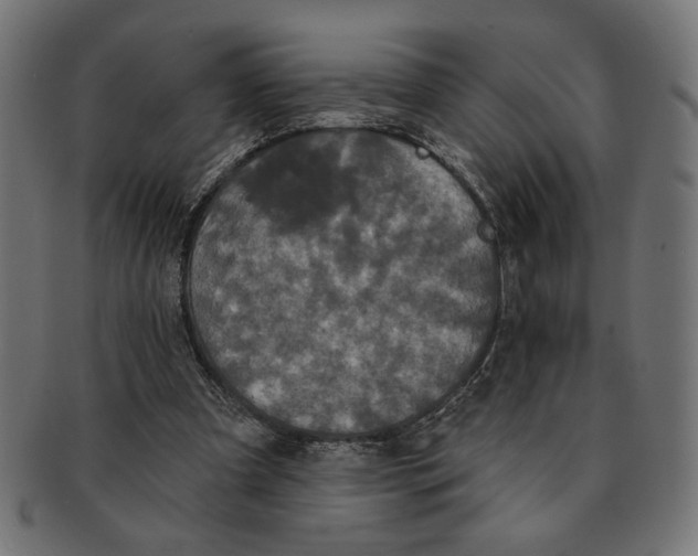 X0000091210297200709061445