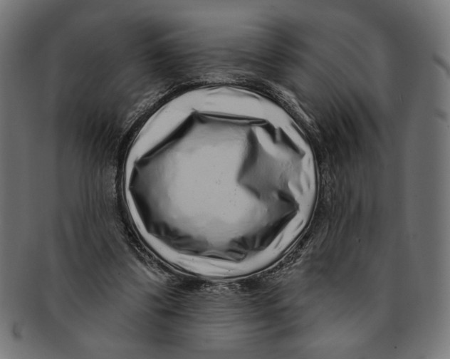 X0000091210299200709061445