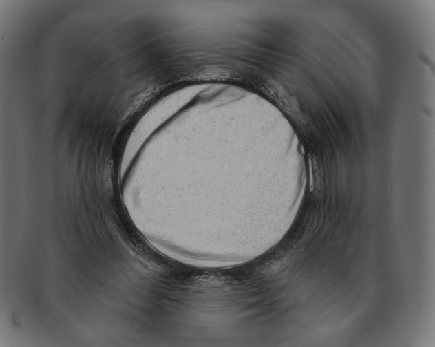 X0000091210300200709061445