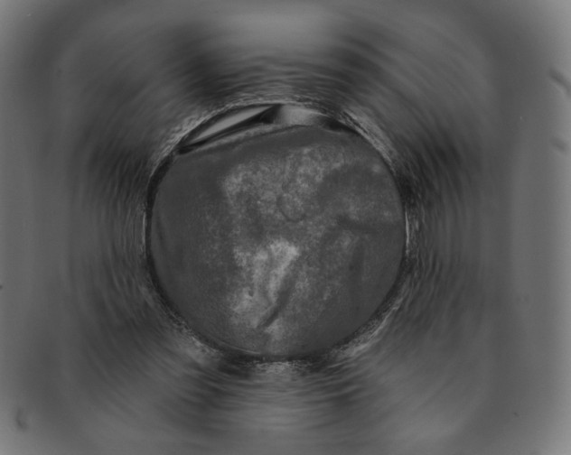 X0000091210301200709061445