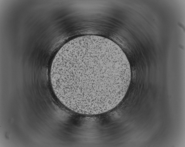 X0000091210302200709061445