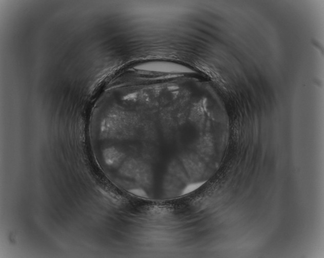 X0000091210303200709061445