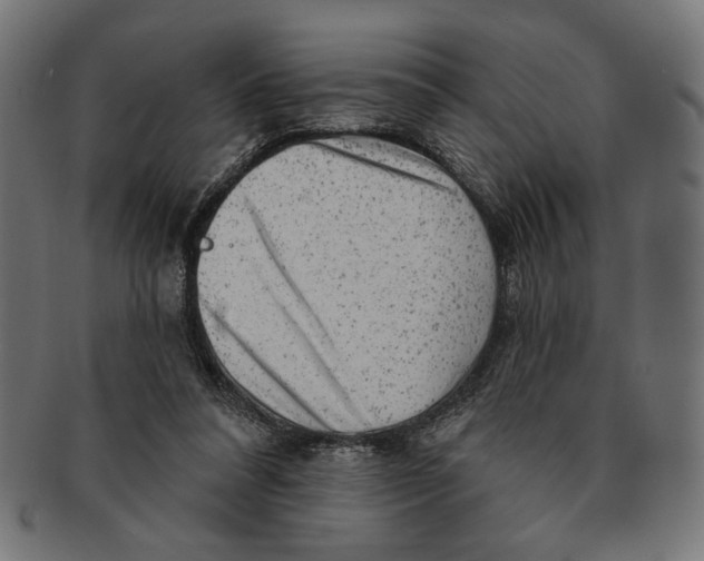 X0000091210304200709061445