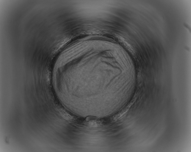 X0000091210305200709061445