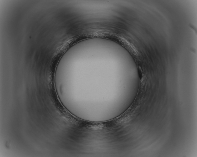 X0000091210306200709061445