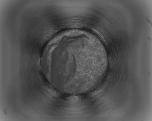 X0000091210307200709061445