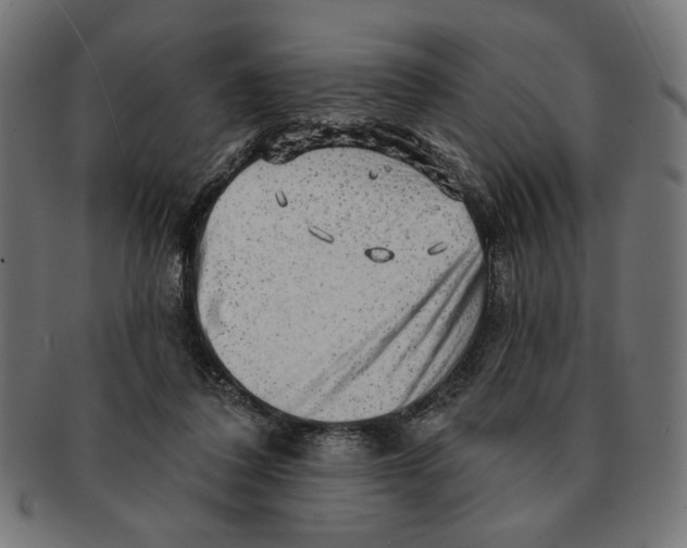 X0000091210308200709061445