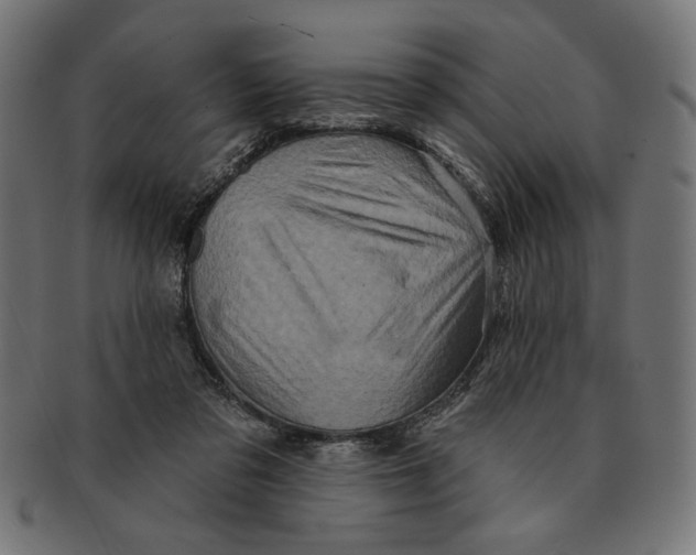 X0000091210309200709061445