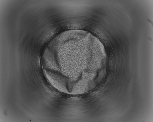 X0000091210310200709061445