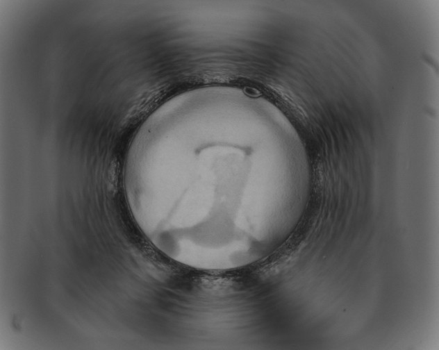 X0000091210311200709061445