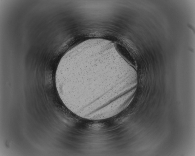 X0000091210312200709061445