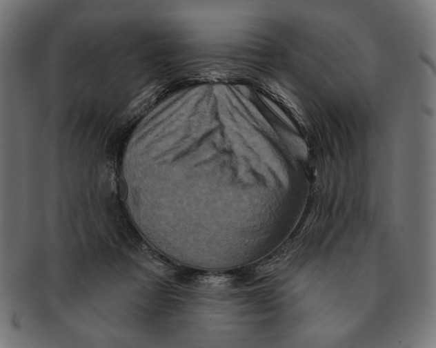 X0000091210313200709061445