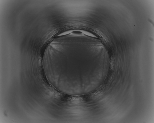 X0000091210314200709061444