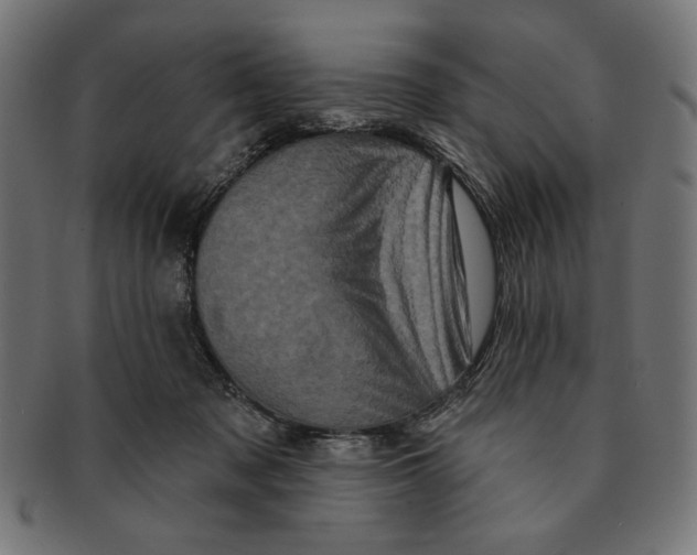 X0000091210317200709061444