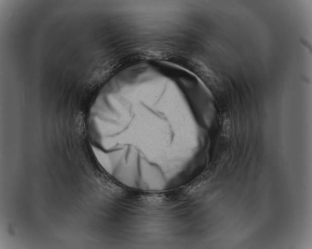 X0000091210318200709061444