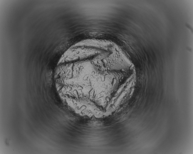 X0000091210319200709061444