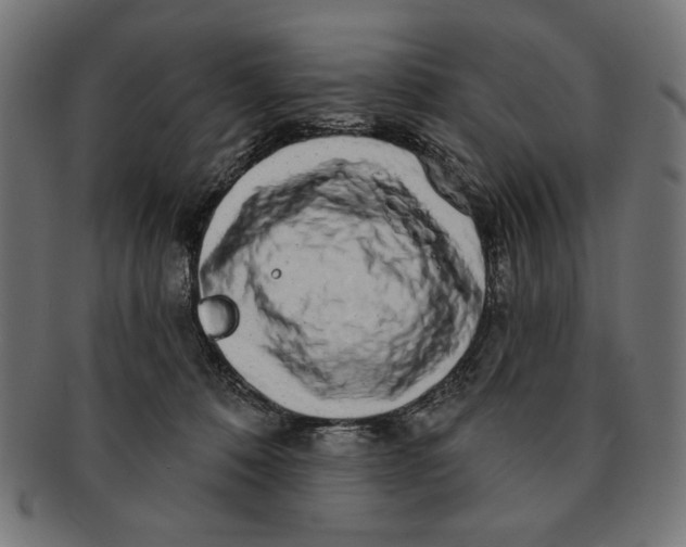 X0000091210320200709061444