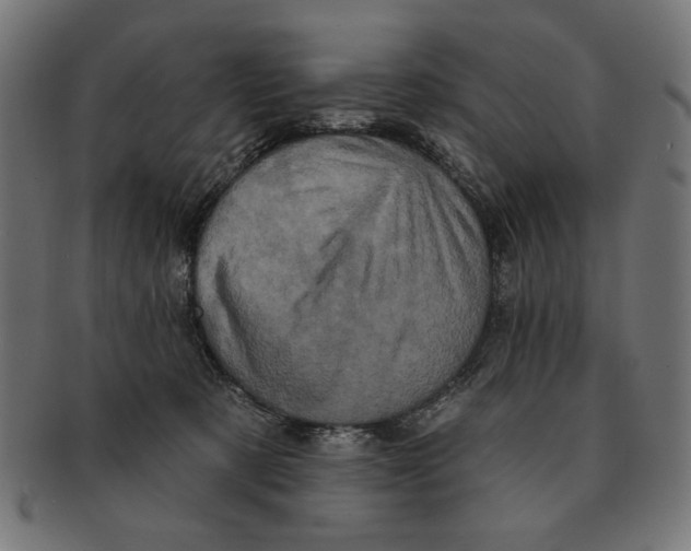 X0000091210321200709061444